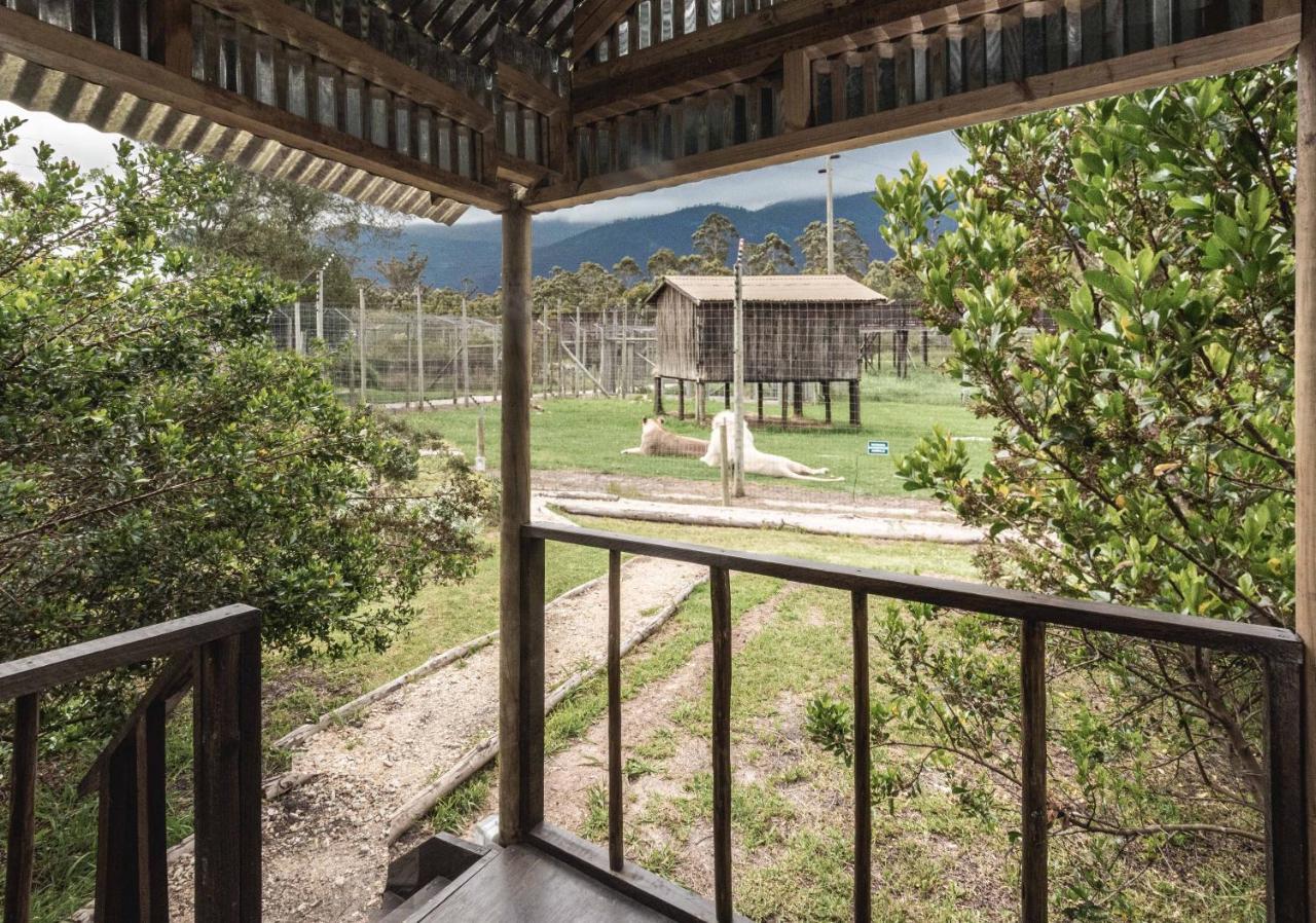 Tenikwa Wildlife Centre & Spa 플레튼버그 베이 외부 사진